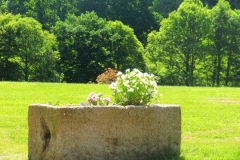 Gardens-2