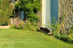 Gardens-51